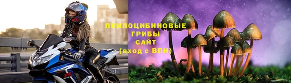 прущая мука Алзамай