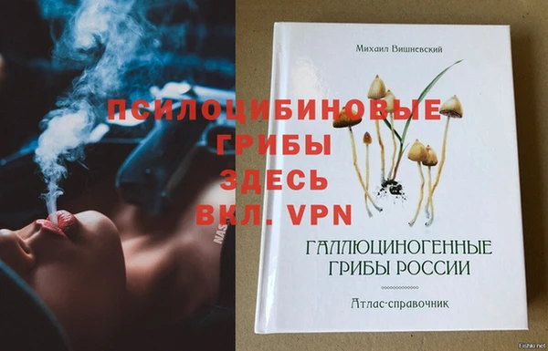 прущая мука Алзамай