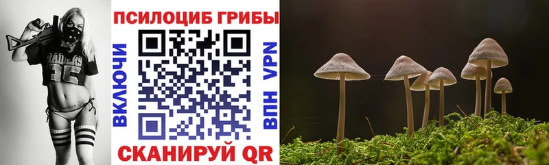 даркнет сайт  Фролово  Галлюциногенные грибы Cubensis 